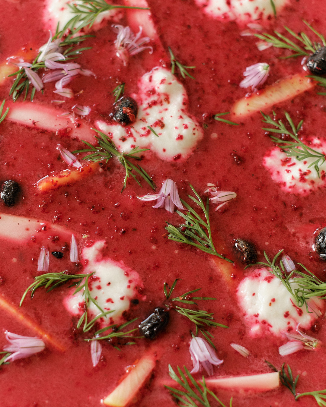 Non-Trad Borscht