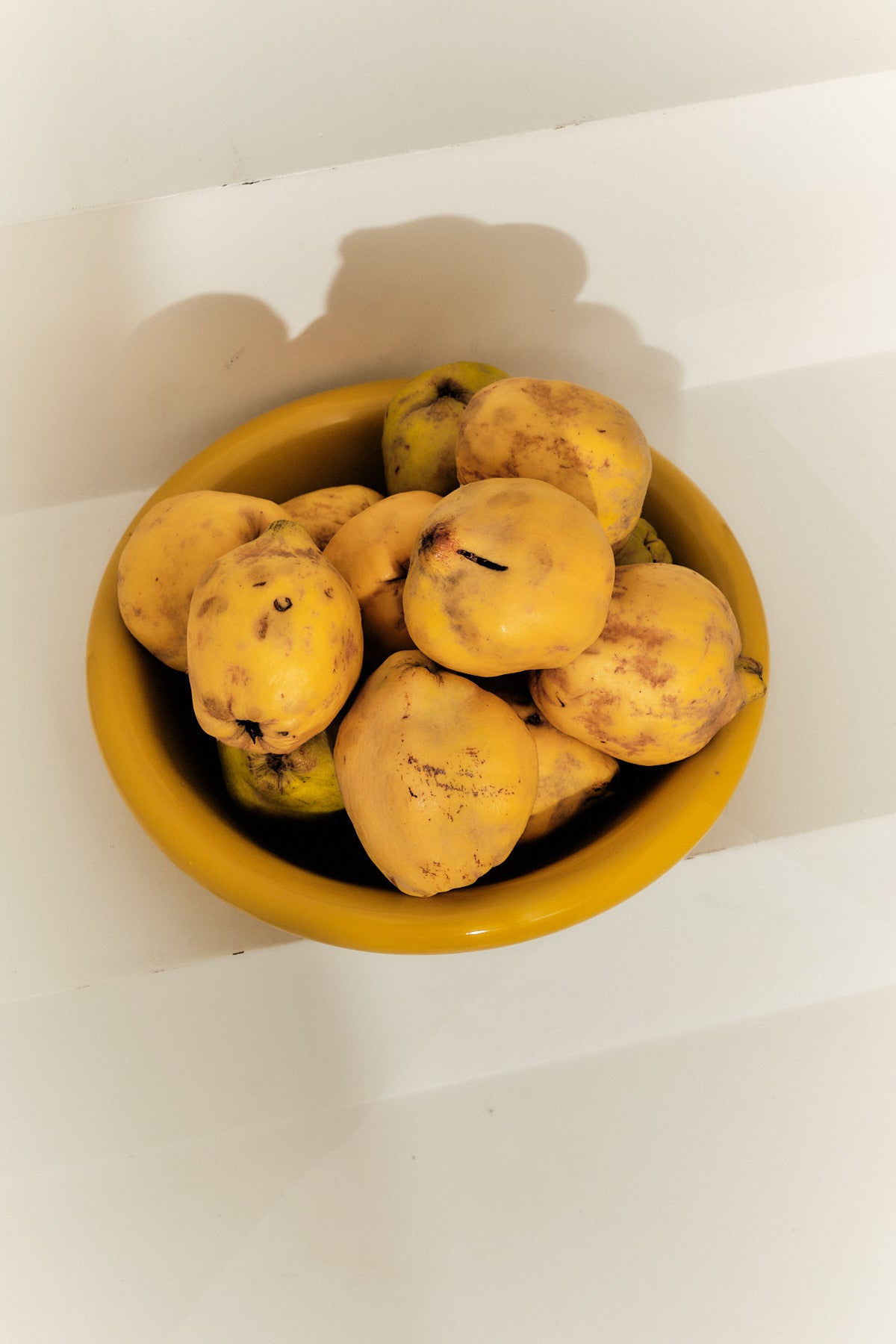 Serving Bowl (Tomato) (Copy)