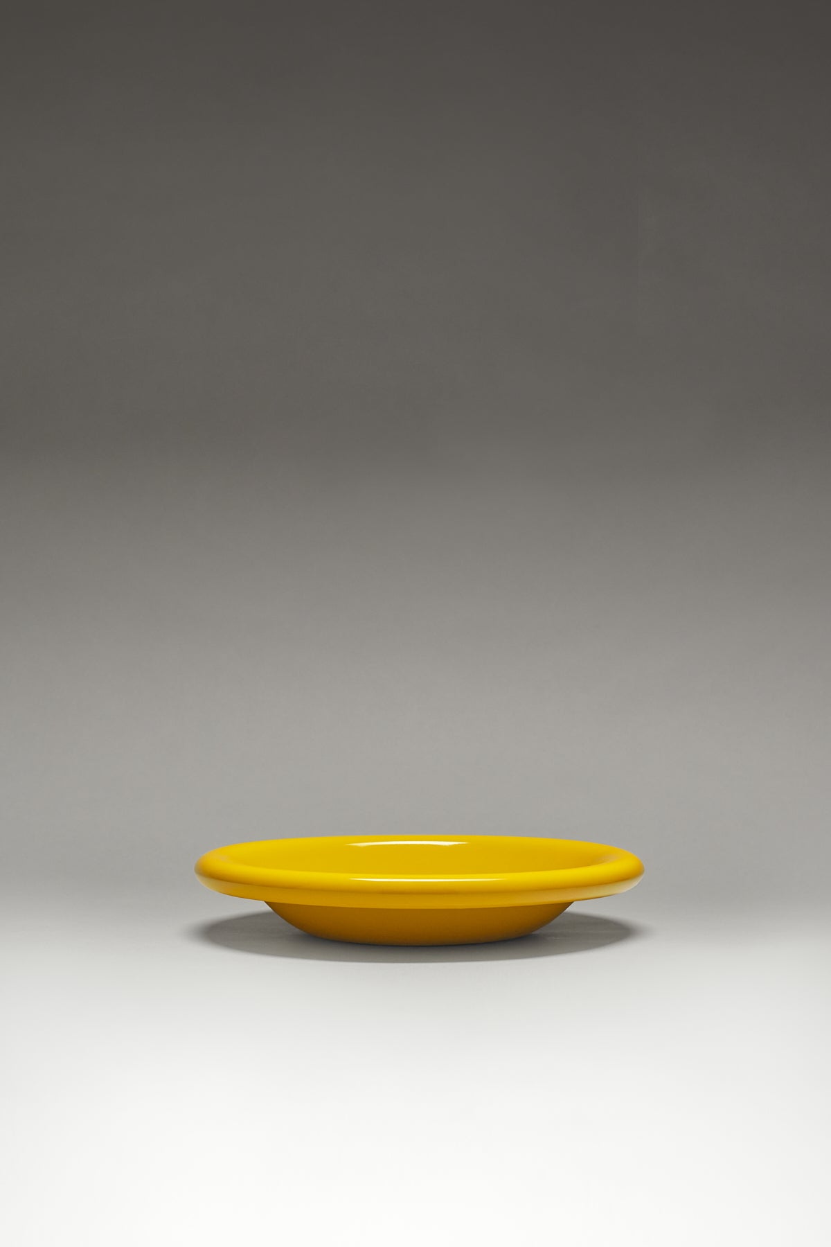 Dinner Dish (Mustard)