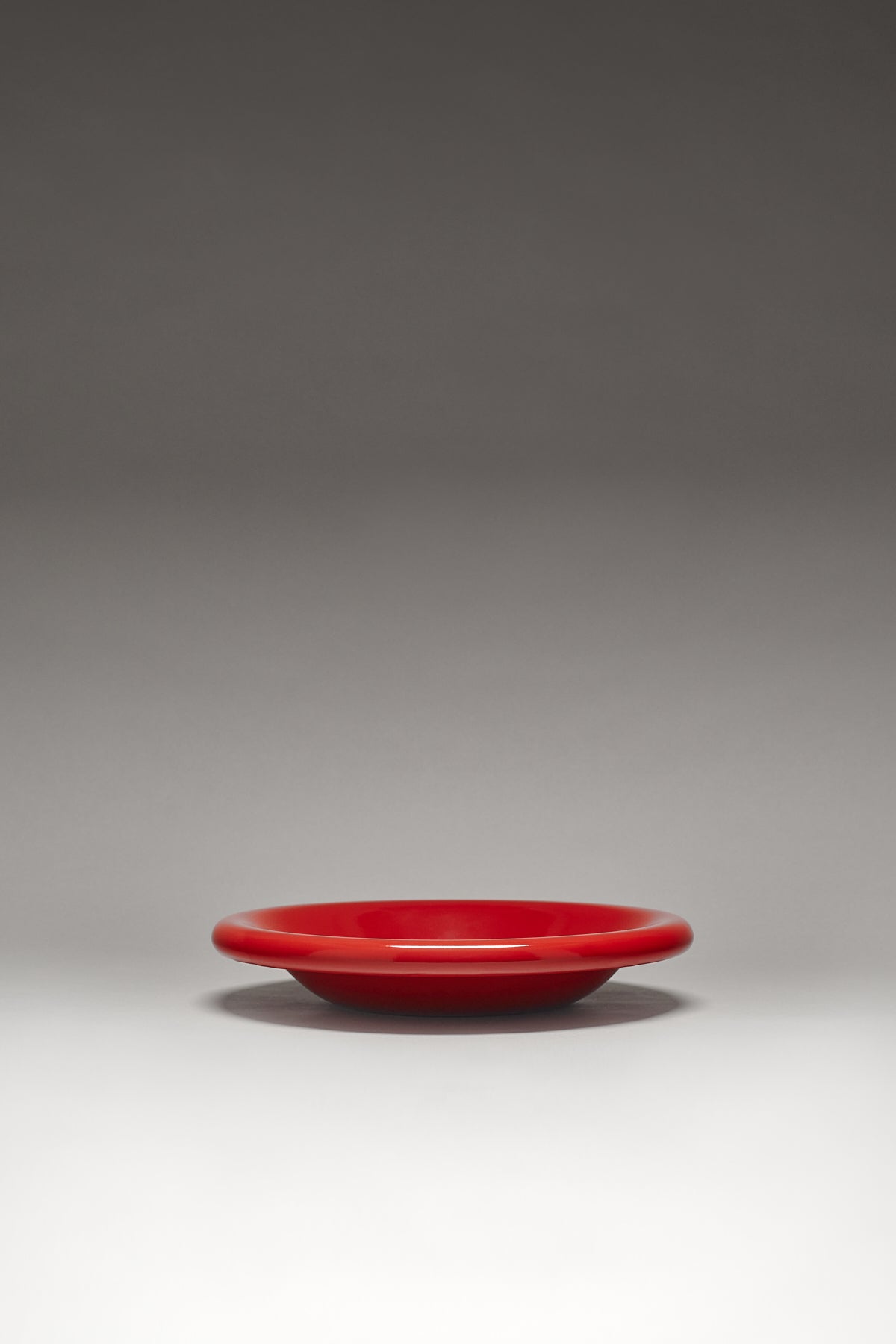 Dinner Dish (Tomato)