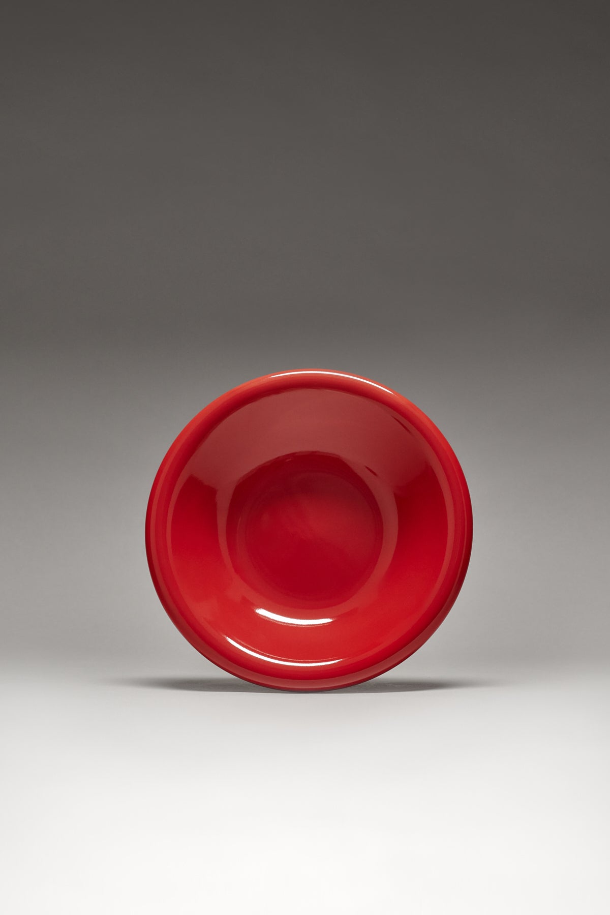 Dinner Dish (Tomato)